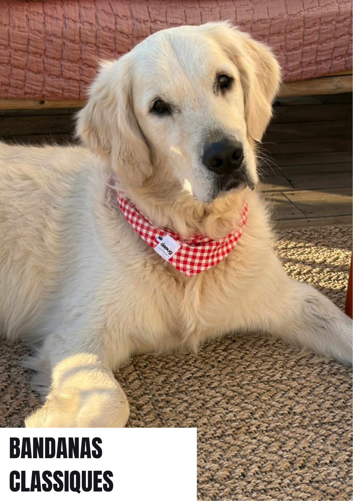 Bandanas pour chien