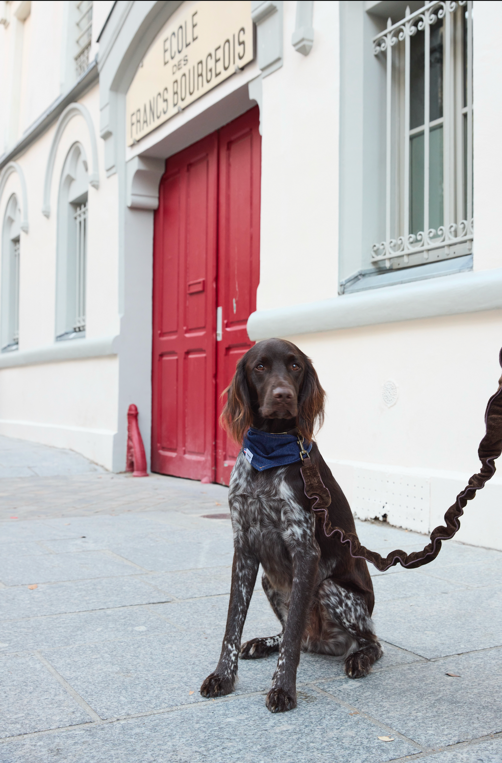 LAISSE MULTI-POSITIONS VELOURS MARRON