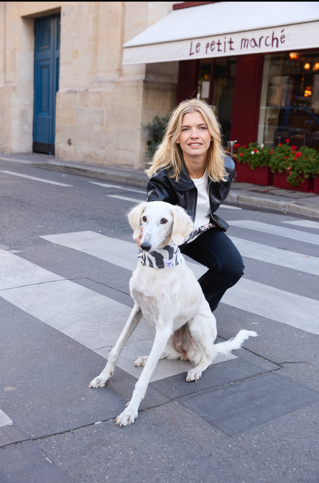 Bandana pour chien ZEBRE