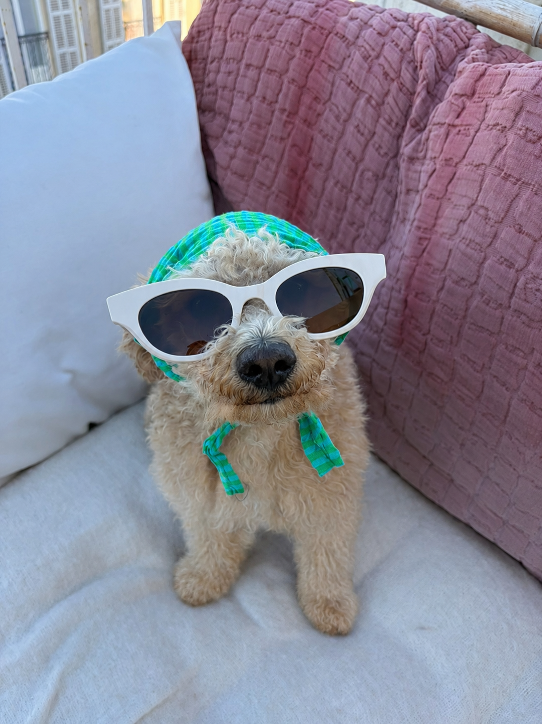 BANDANA RAYÉ TURQUOISE ET VERT