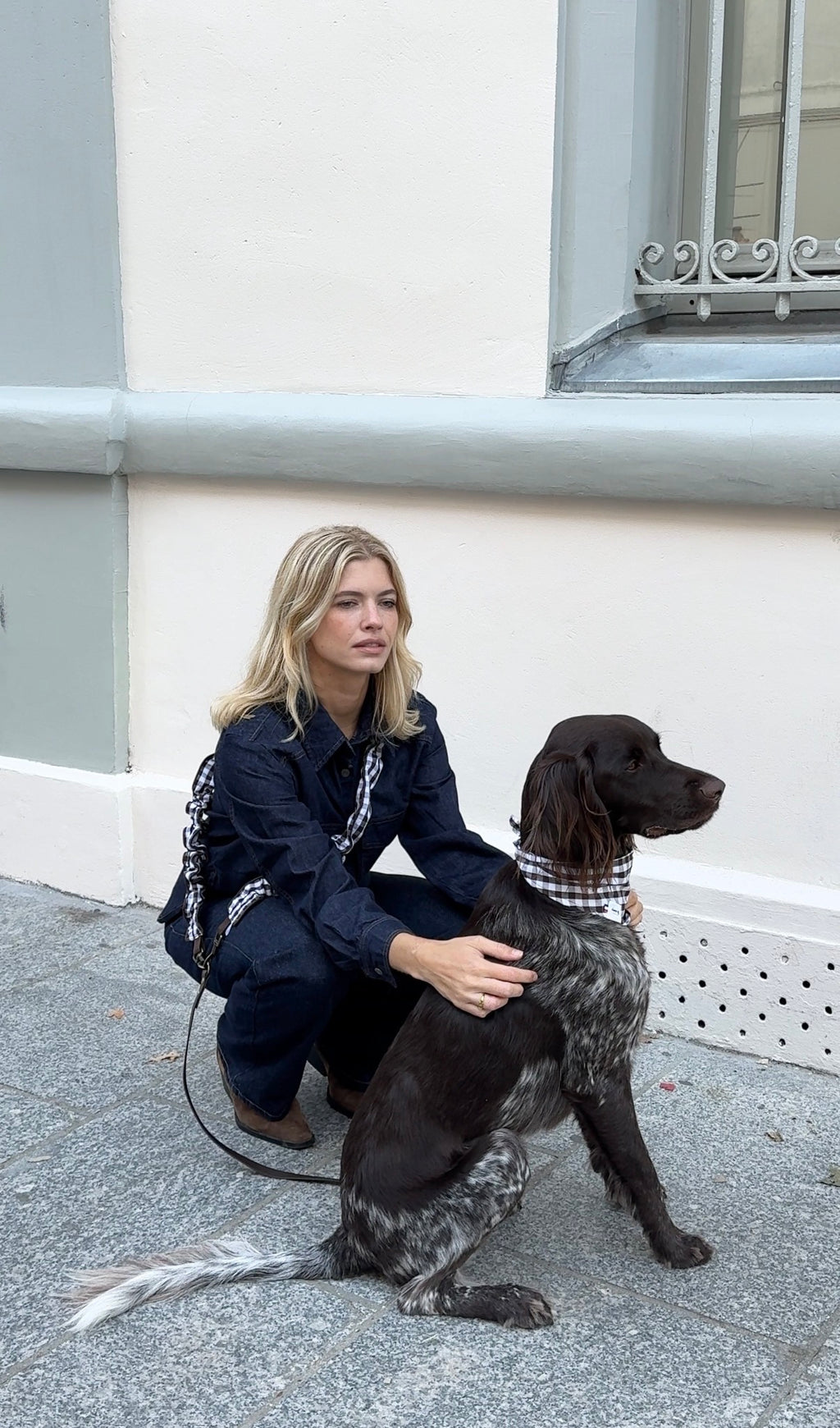 LAISSE MULTI-POSITIONS VICHY MARRON