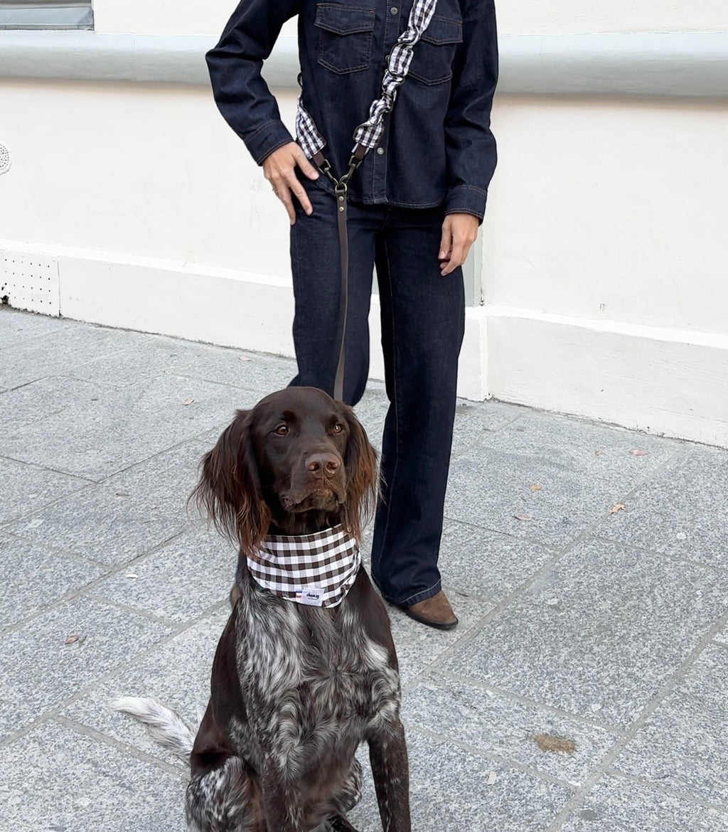 Bandana pour chien VICHY MARRON