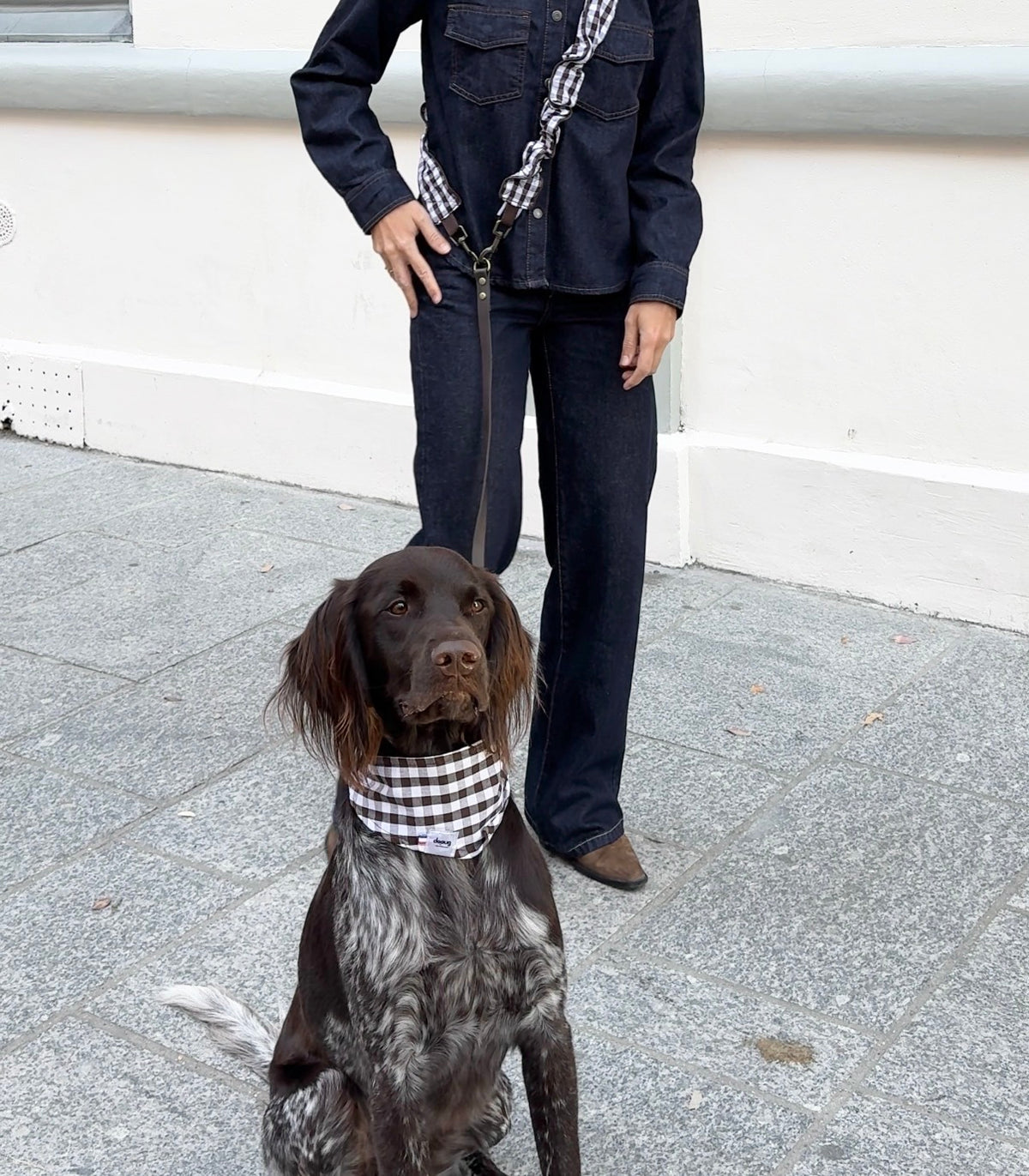 Bandana pour chien VICHY MARRON