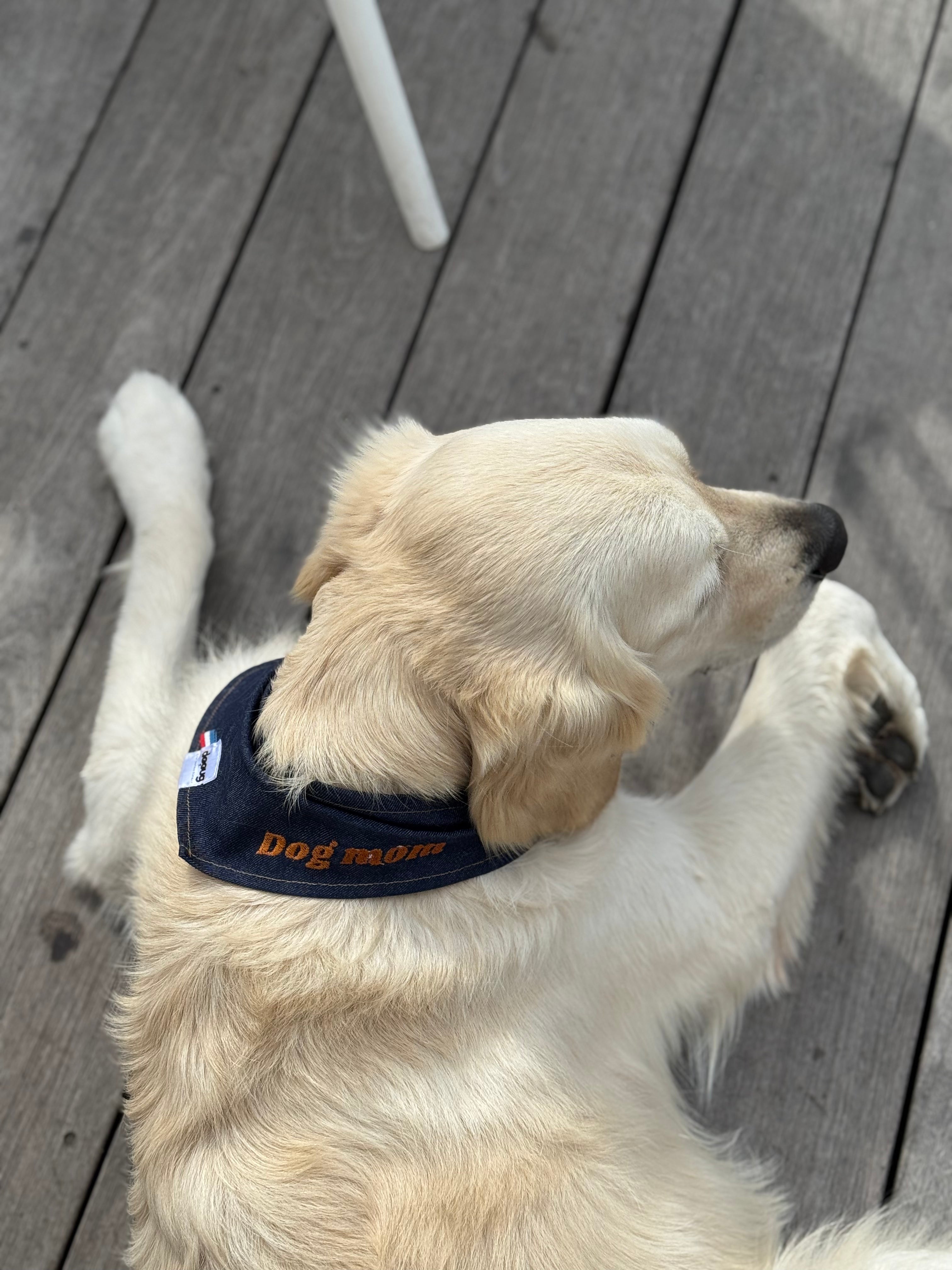 Bandana pour chien à message DOG MOM 💘