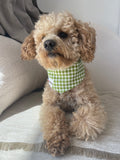 Bandana pour chien personnalisable VICHY VERT