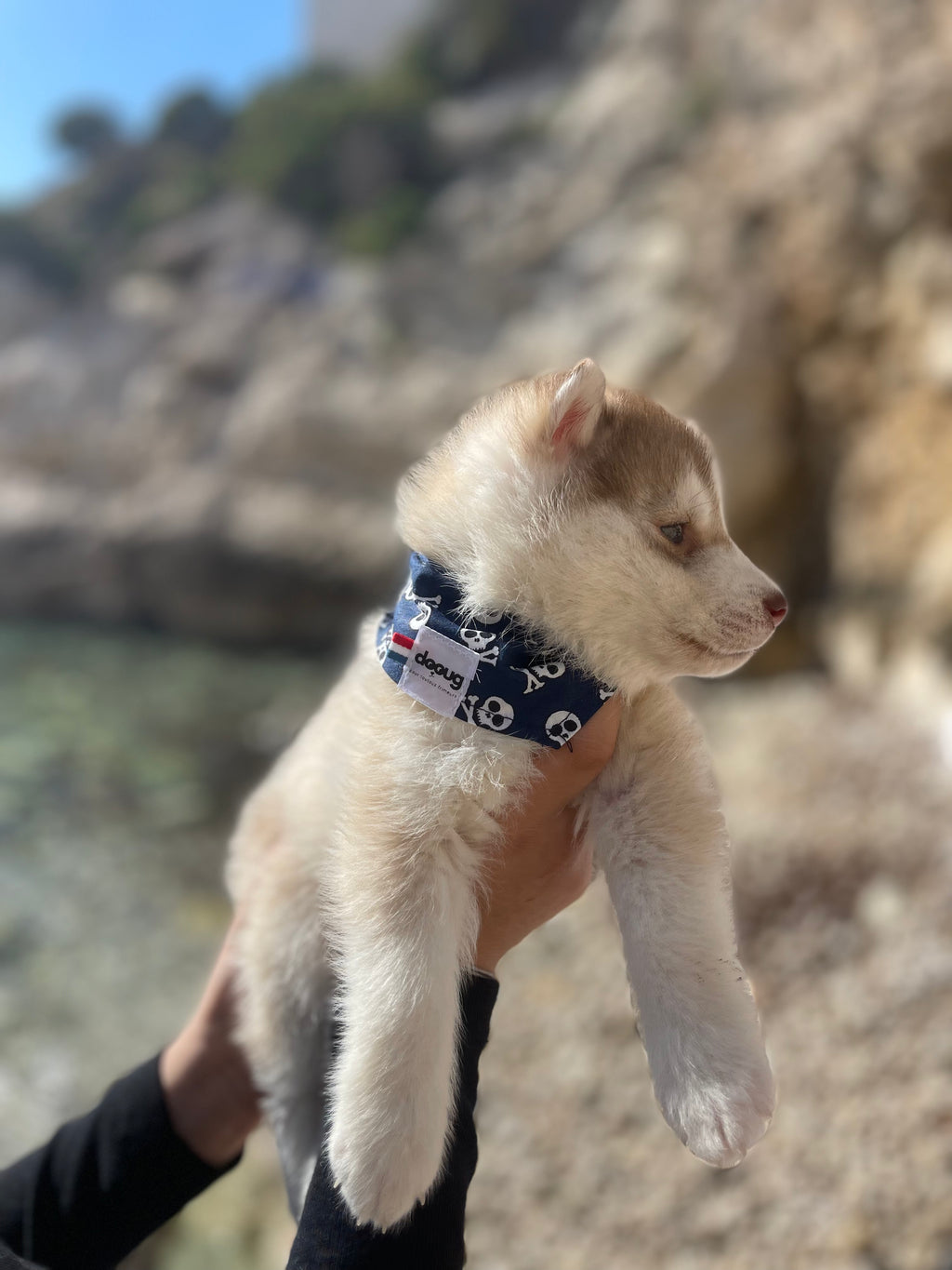 Bandana pour chien personnalisable REBEL