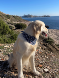 Bandana pour chien REBEL