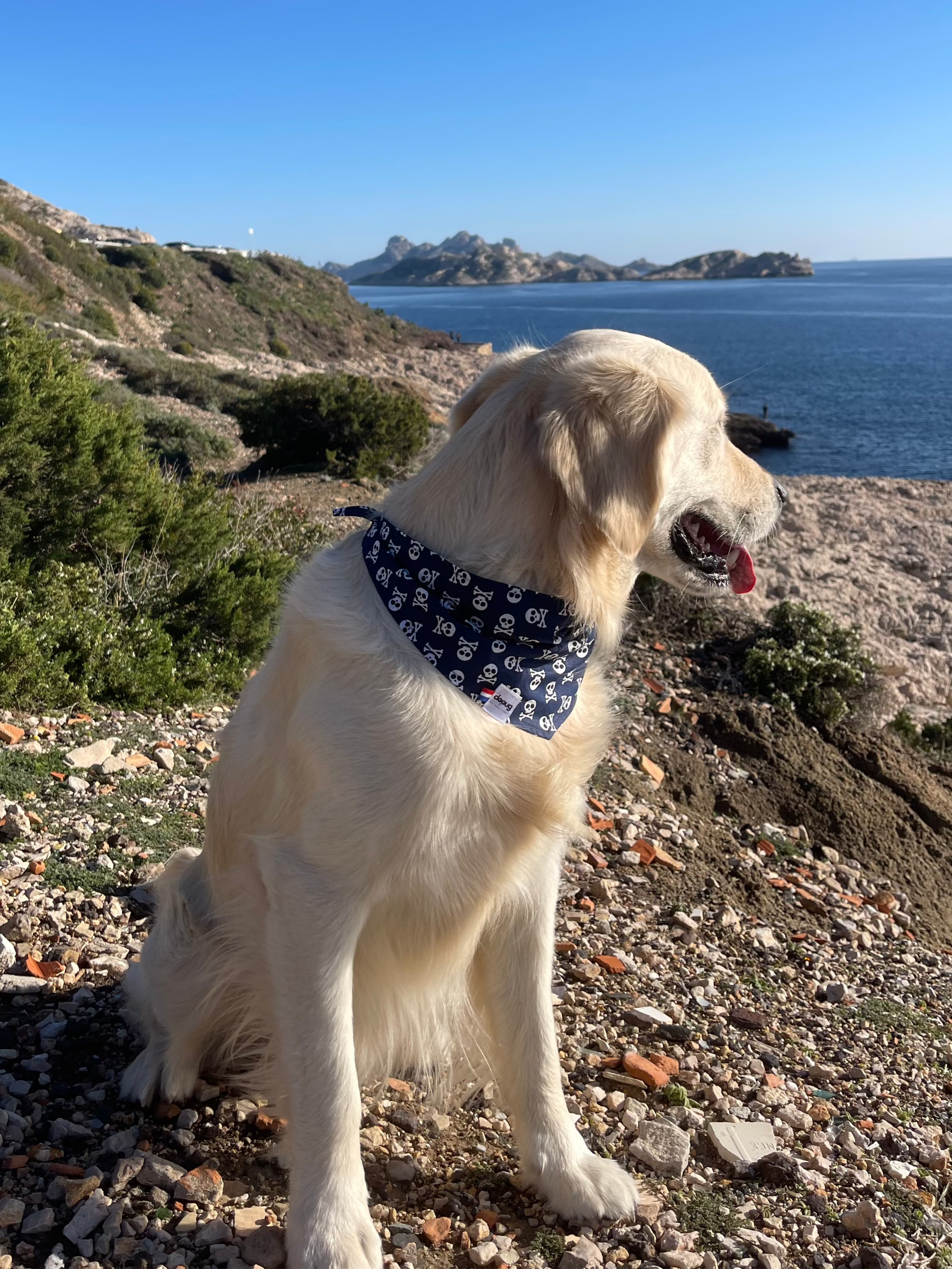 Bandana pour chien personnalisable REBEL