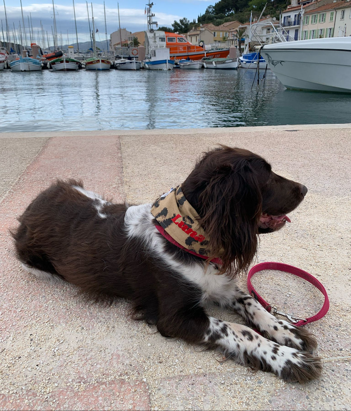 Bandana pour chien personnalisable LEOPARD