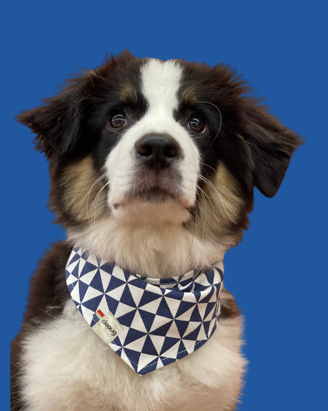 Bandana pour chien GÉOMÉTRIQUE